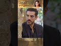 Sirf Shabana - Episode 19 Teaser - [ Sohai Ali Abro ] - HUM TV