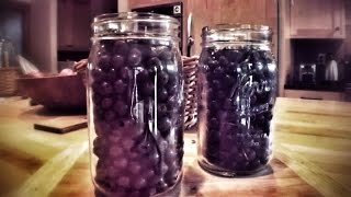 GLAM JAM - Aronia Berry