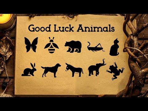 🐻 TOP 10 Good Luck Animals: Positive Symbols of Abundance & Success (Spiritual Meanings & Symbolism)