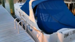 We Bought a Boat on Ebay From Boat Liquidators 1996 Sea Ray 330 Sundancer