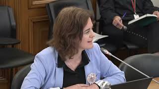 Audição do Ex-Presidente do Conselho de Administração da ULS Castelo Branco | Susana Correia