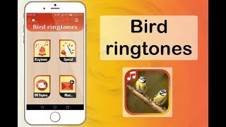 App Bird sounds ringtones screenshot 3