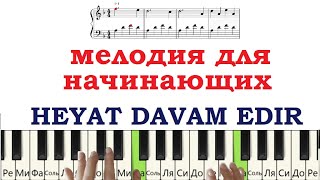 Мелодия для начинающих (Heyat davam edir) на пианино