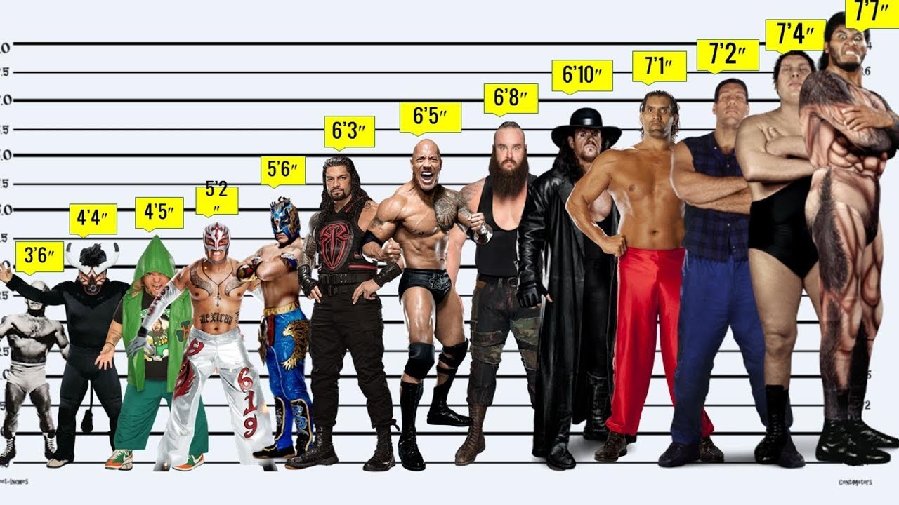 Wwe Height Chart