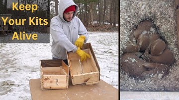 Meat Rabbit Nest Boxes: Everything You Need To Know