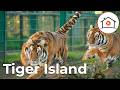 Inside Europe’s Biggest Tiger Sanctuary: Dramatic Big Cat Transport &amp; Lemurs | Tiger Island S2E3