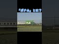 「ボタ山」って知ってる??🤔