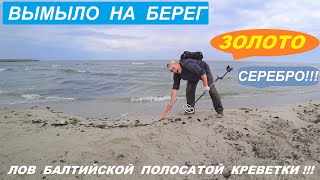 СРОЧНЫЙ выезд на ПЛЯЖНЫЙ КОП по звонку! Россыпи ЯНТАРЯ! Нашел ЗОЛОТО и СЕРЕБРО!