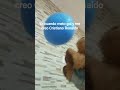 yo cuando me creo Cristiano Ronaldo