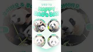 지혜 사랑  유트브 접음 #리믹스해주세요