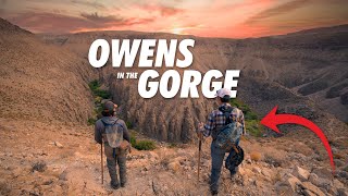 The trail goes straight DOWN // Owens River Gorge Fly Fishing (Eastern Sierra PART 5)