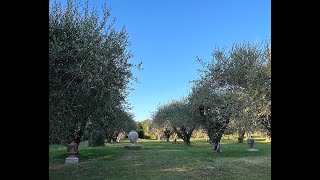 Италия. День 9. Тоскана.  Tuscany. Аббатство Сант-Антимо. Отель Sovana.