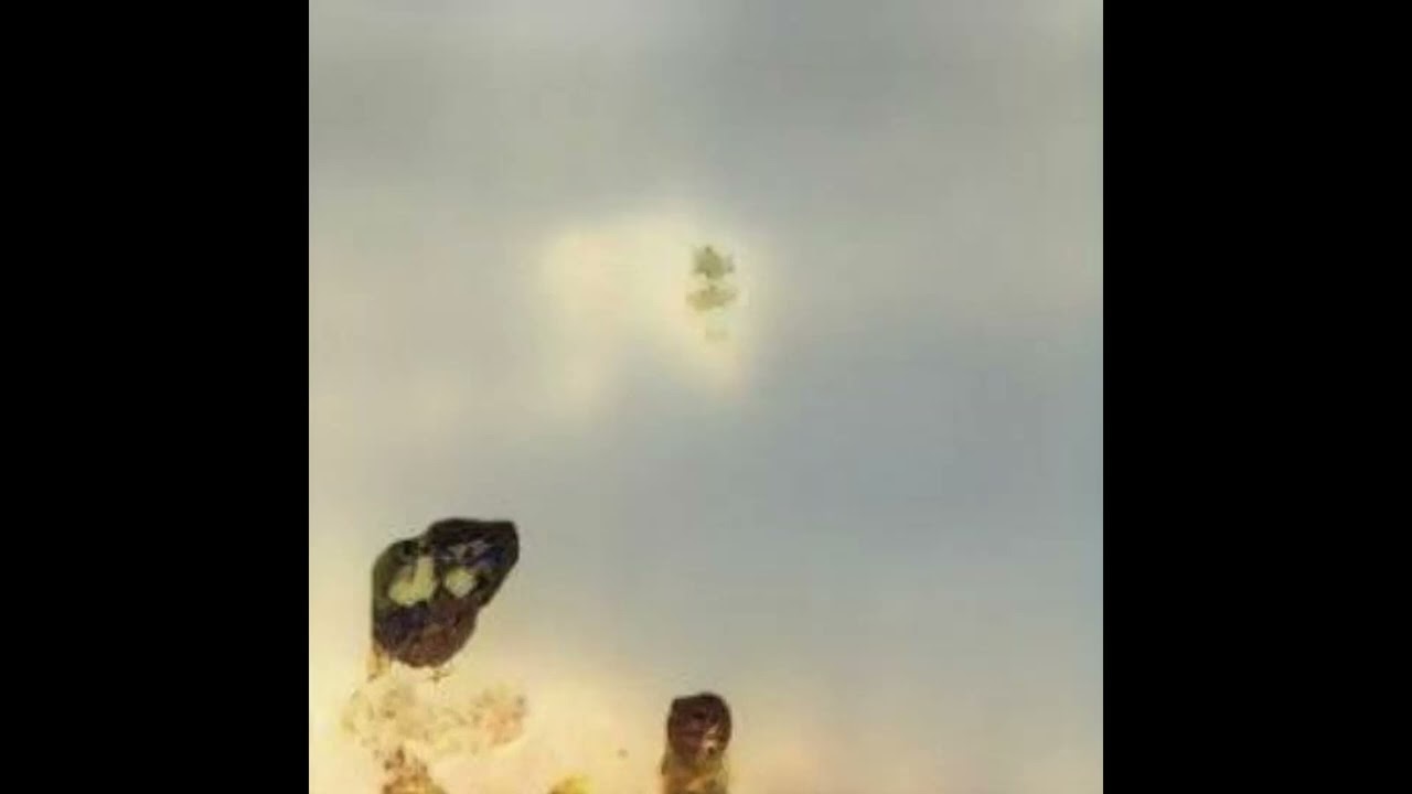 Cardinal Omniscient - (how to) bridge 33 of 34