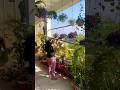 बालकनी मैं हैंगिंग प्लांट्स कैसे लगाये #gardening #balconygarden #homedecor #hangingpkant#garden