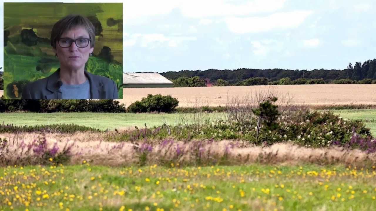 RingkøbingK Byudviklingsprojekt