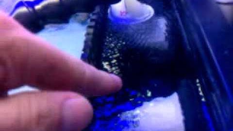 Herbie overflow set up.