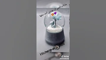 عشقي الوحيد 