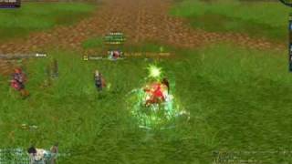 Silkroad Nuker - DMG Test - Odin