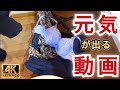 残暑が厳しいざんしょコーデ💧