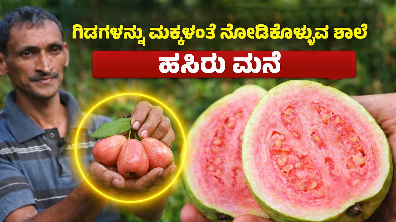 Plants Are Raised Like Children in This Amazing Place!