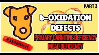 B-Oxidation Defects. Primary Carnitine Deficiency. Mcad Deficiency. Biochemistry For Step 1
