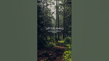 آيات من سورة النمل بصوت الشيخ ياسر الدوسري