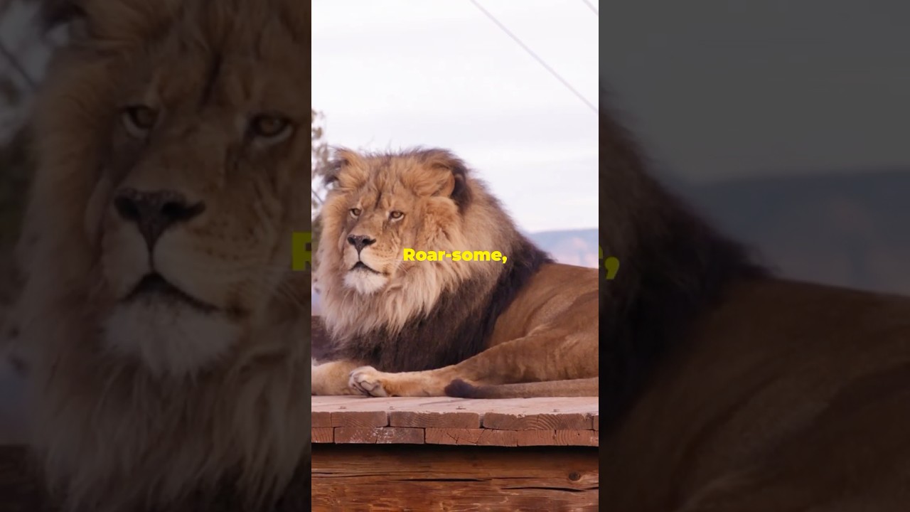 Curious Kids Discover Zoo Animals! | Fun Animal Facts for Kids