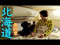 北海道旅最終日:苫小牧RVパークでホッキ貝カレー | 新日本海フェリーで帰路につきました