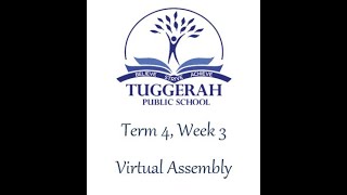 VA Term 4, Week 3