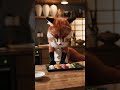 A fox plating sushi?! 🦊🍣