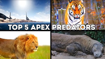 Top 5 Apex Predators: Legends of the Past!