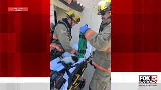 Six displaced, two cats rescued following Las Vegas apartment fire near Tropicana, Jones