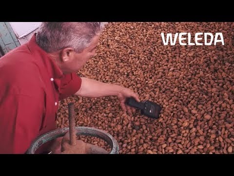 Video: Was ist Mandelöl - Erfahren Sie, wie man Mandelöl verwendet