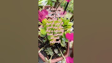 أعظم دعاء سورة الفاتحة