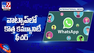WhatsApp ‘Community’ feature to co-exist with Groups - TV9