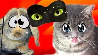 СУПЕР КОТ МАКС И СНОВА ДОМОВОЙ. КВЕСТ НА ЖИЗНЬ, но ЧТО ТО ПОШЛО НЕ ТАК 7 серия СУПЕР КОТ МАКС И СНОВА ДОМОВОЙ. КВЕСТ НА ЖИЗНЬ, но ЧТО ТО ПОШЛО НЕ ТАК 7 серия