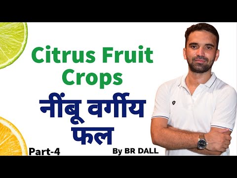 Video: Mis on Citrus Exocortis: kuidas hallata tsitrusviljade haigust