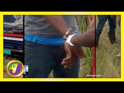 Suspected Cow Thieves Arrested in St. Elizabeth, Jamaica | TVJ News