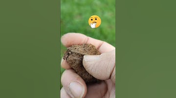 A coin first for me #metaldetecting #subscribe #treasuresearch #oldcoins #shorts #ukhistory #fyp