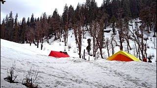 Nag Tibba Trek | Best weekend Trek | Snow trek | by Club Defender of Nature