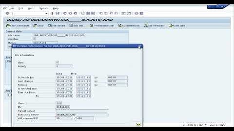 SM37 Background job monitoring