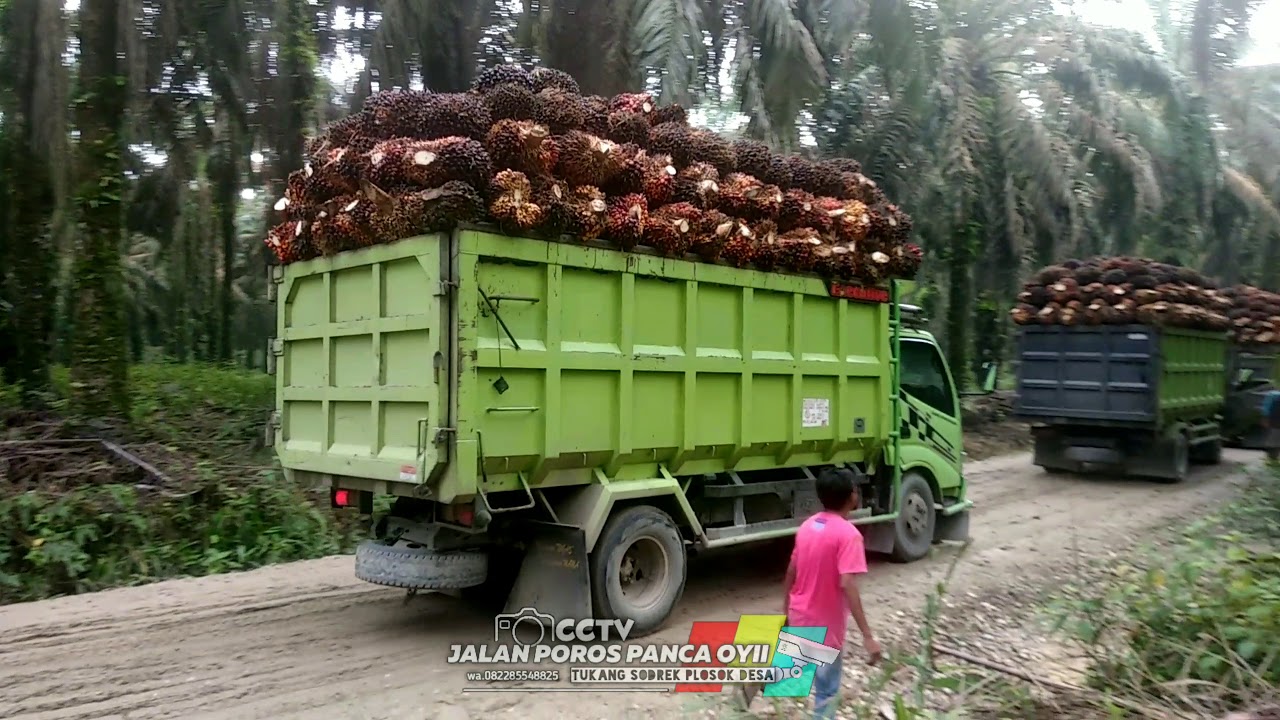 Perjuangan Truk  sawit part IV truk  canter  hdl  sampai patah 