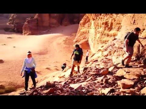 Video: Qasr Al-Farid - Et Ensomt Slot I ørkenen: Hvem Og Hvordan Kunne Have Skåret Dette Mirakel I Klippen - Alternativ Visning