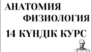 АНАТОМИЯ/ФИЗИОЛОГИЯ МАРАФОНЫНА ШАҚЫРУ / 14 КҮН 🚀