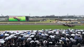 2024 中山記念 マテンロウスカイ 現地