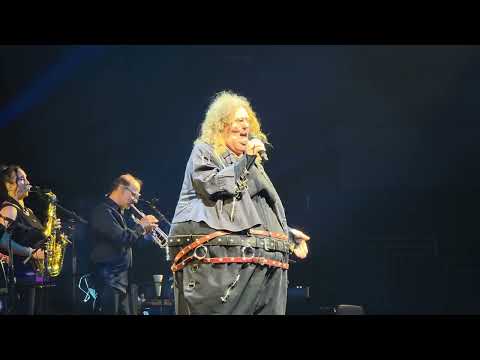 Weird Al (Live) Fat