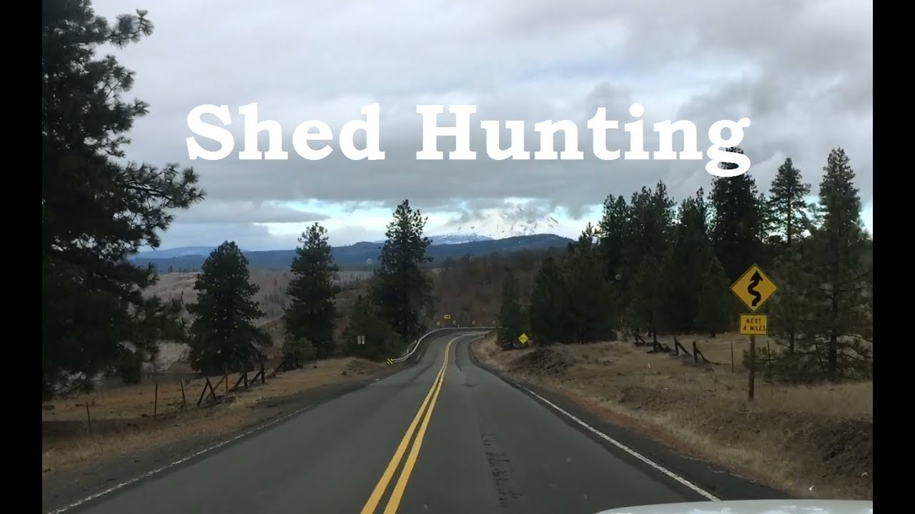 Shed Hunting Klickitat, Wa YouTube