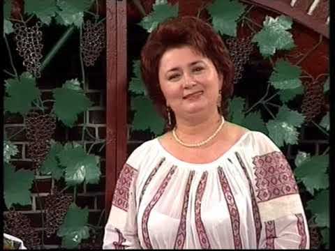 Vasilica Dinu   Usor fac paralele