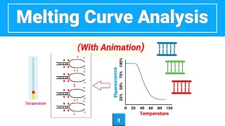 Melting Curve Analysis (Made Easy)