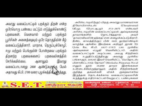 XI Bio Zoology - வகைப்பாட்டில் மற்றும் தொகுப்பமைவியல்